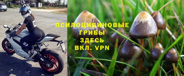 spice Алексеевка